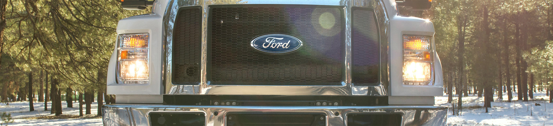 Ford Medium Duty in Forest